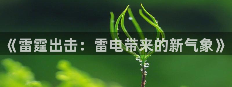 尊龙体育直接访问agbaofu.wang|ag暴富网