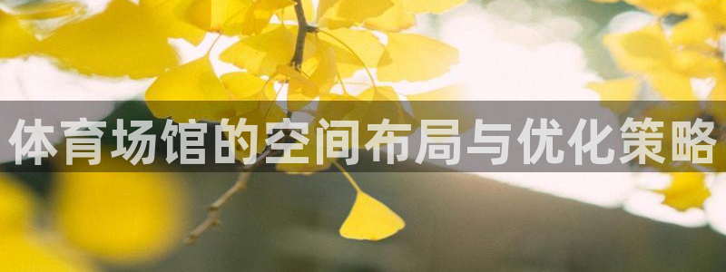 尊龙凯时存款多久到账