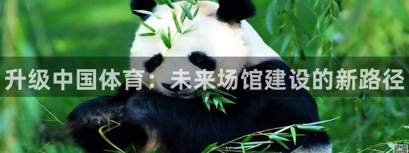 凯时官网的售后服务